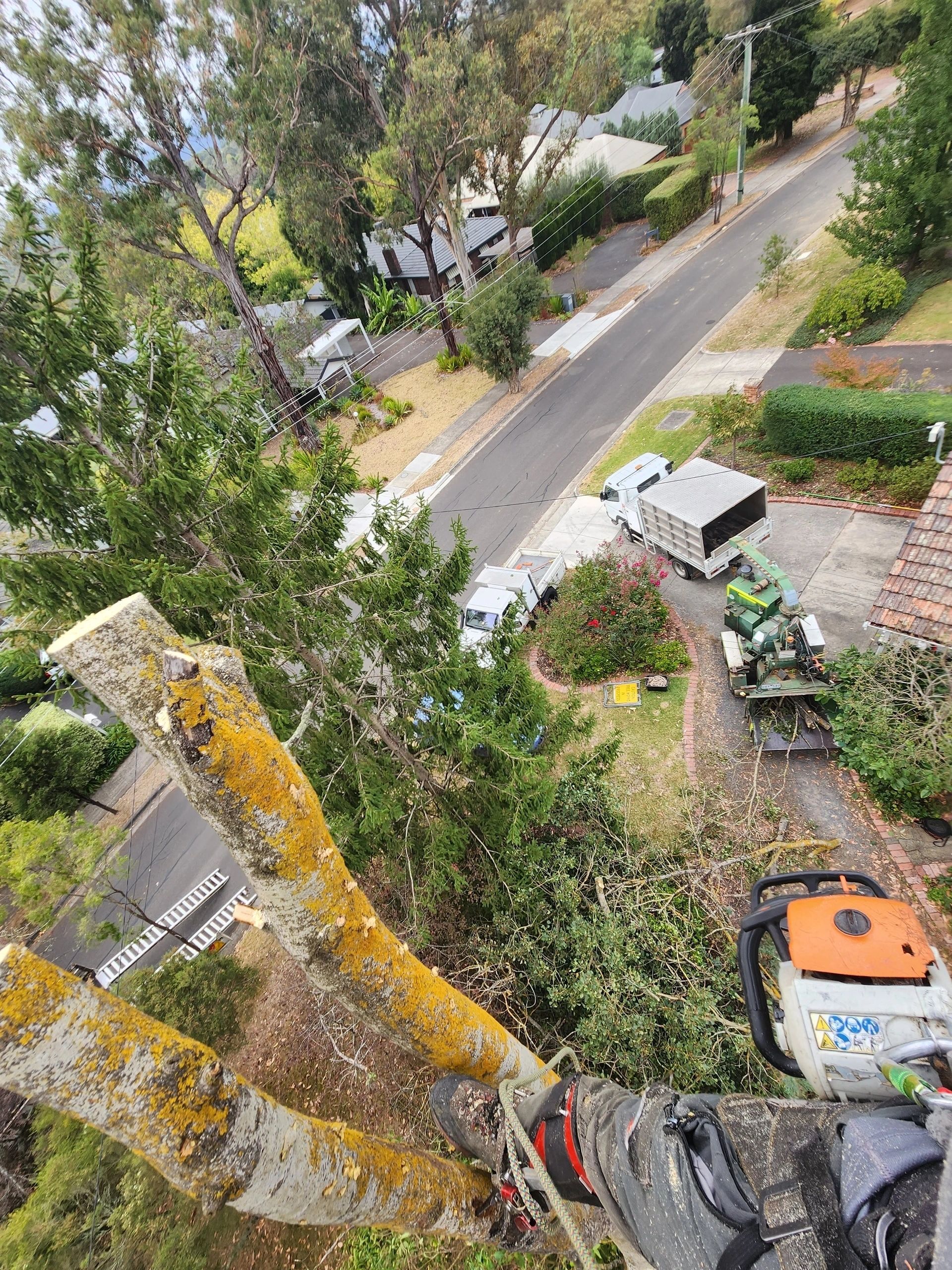 Hillside Tree Care