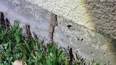 HomeMasters Pest Control work 3