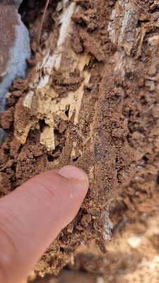 HomeMasters Pest Control project 5