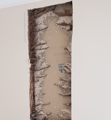 HomeMasters Pest Control project 6