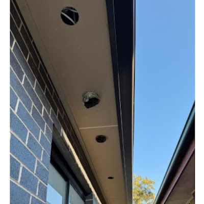 Homestead Electrical project 5