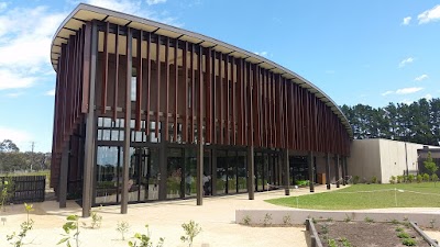 Hope’s City to Surf Painting project 5