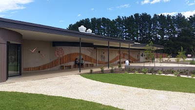 Hope’s City to Surf Painting project 6