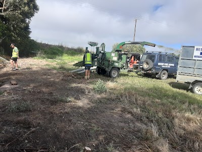 Hutchy's Tree Lopping photo 3