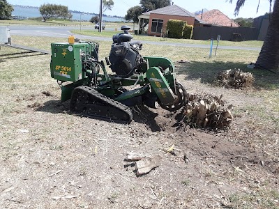 Hutchy's Tree Lopping