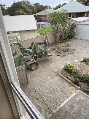 Hutchy's Tree Lopping project 5