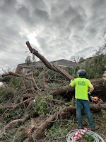 I Cut Tree Services Melbourne