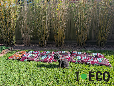 I LOVE ECO project 6