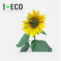 I LOVE ECO