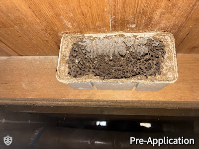 IG Pest Control Australia Nunawading photo 2