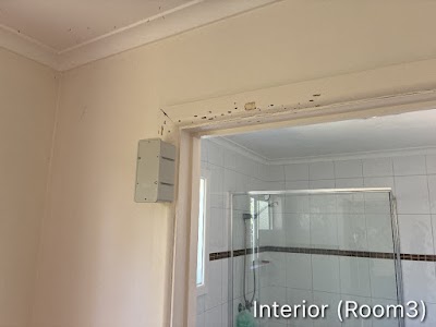 IG Pest Control Australia Nunawading photo 3