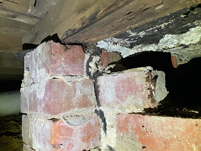 IG Pest Control Australia Nunawading project 6