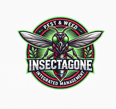 Insectagone work 4