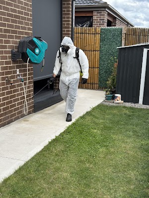 InsectoKill Pest Control work 4