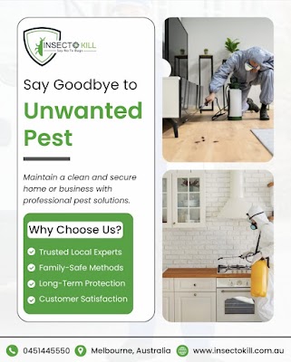 InsectoKill Pest Control project 5