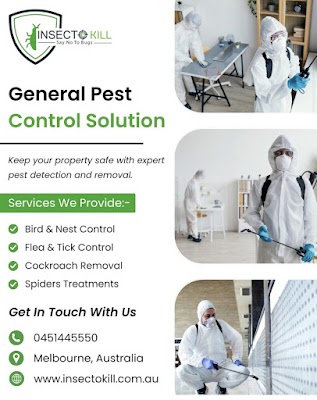InsectoKill Pest Control project 6