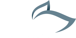 Insight Landscapes