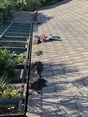 Integrated Pest Control & Maintenance work 3