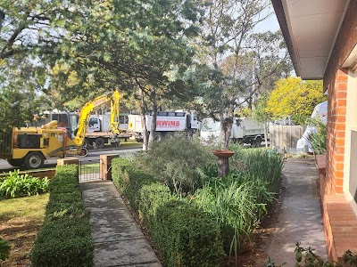 Irwins Tree Removal Geelong project 4