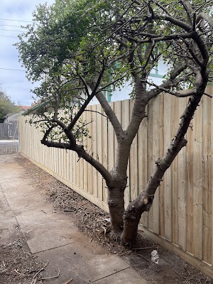 Ivy Fencing Solutions work 4
