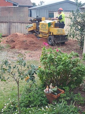 J & B Tree Service - Tree and Stump Removal Adelaide project 4