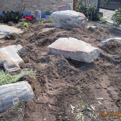 J & B Tree Service - Tree and Stump Removal Adelaide project 6