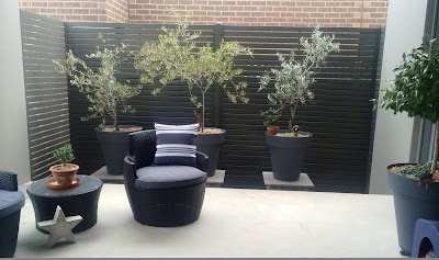 Jackal Fencing project 6