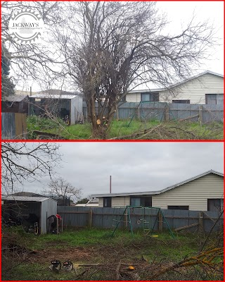 JACKWAY'S TREE AND LAND MANAGEMENT photo 2