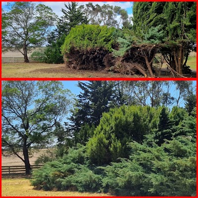 JACKWAY'S TREE AND LAND MANAGEMENT photo 3