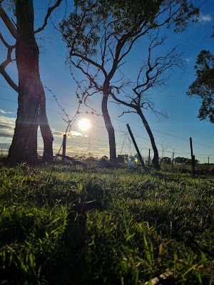 JACKWAY'S TREE AND LAND MANAGEMENT project 4