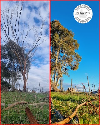 JACKWAY'S TREE AND LAND MANAGEMENT project 5