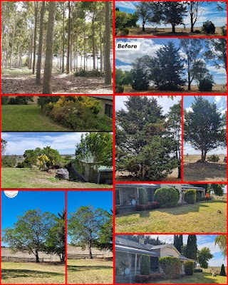 JACKWAY'S TREE AND LAND MANAGEMENT project 6