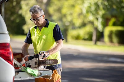 Jacob's Ladder Tree Service photo 3