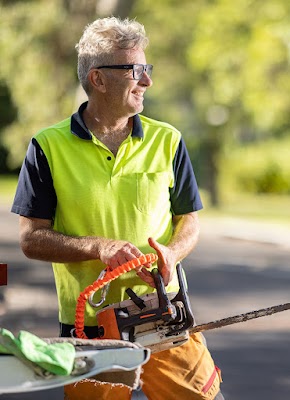 Jacob's Ladder Tree Service project 4