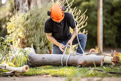 Jacob's Ladder Tree Service project 6
