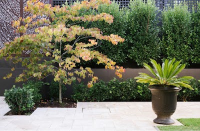 Jade Garden Design & Service work 3