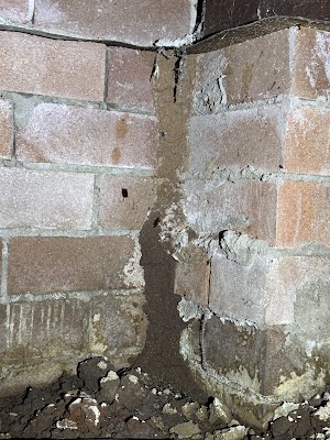 JD Pest Solutions photo 3