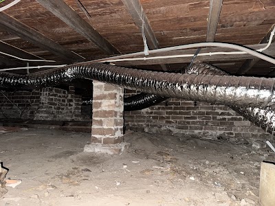 JD Pest Solutions project 6