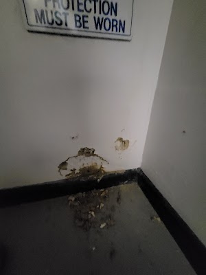 Joe's Pest & Termite Solutions work 2