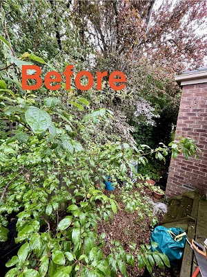 Jon's Garden Service project 6