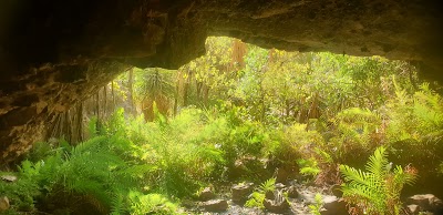 JUGGERNAUT PEST CONTROL project 6