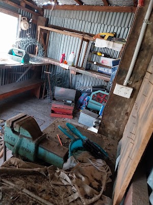 Junk Patrol project 6