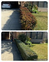 Kaizen Gardening Services