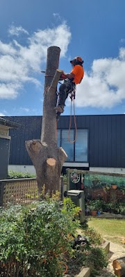 KC Treecare project 5