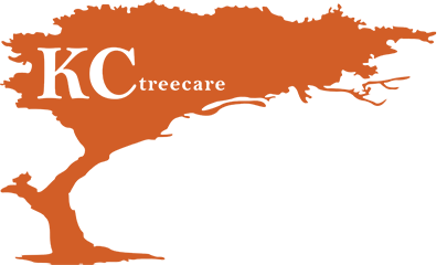 KC Treecare