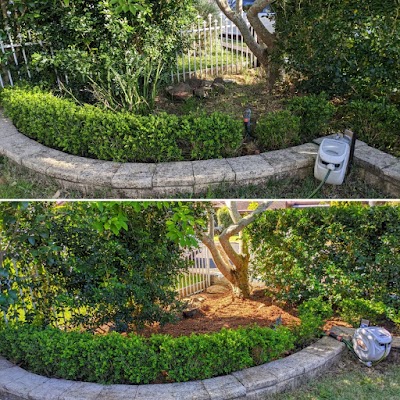 King of The Garden photo 3