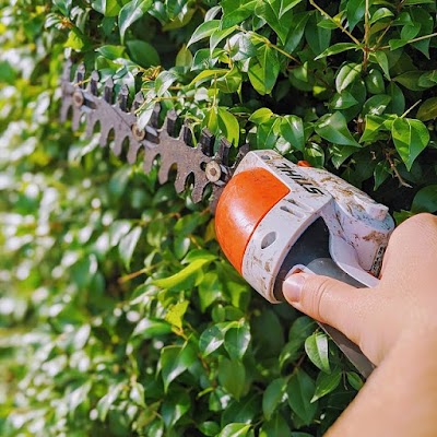 King of The Garden project 5