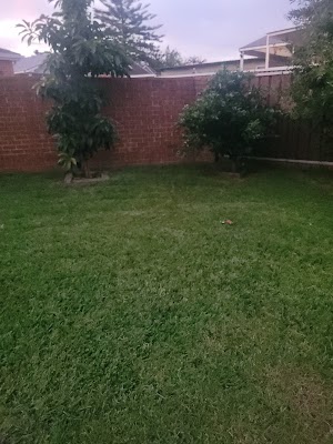 KingsScaping project 6