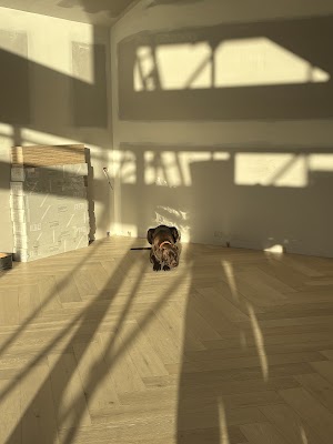 Kustom Timber Flooring Melbourne project 5