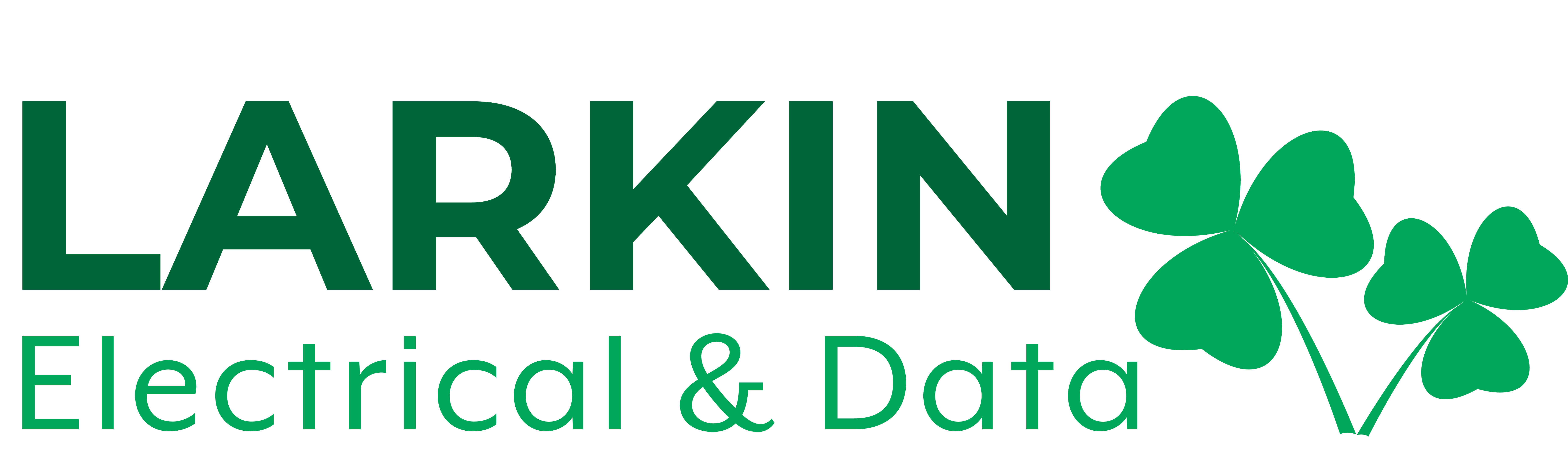Larkin Electrical & Data